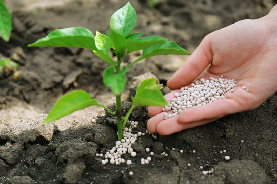 Agricultural Fertilizers