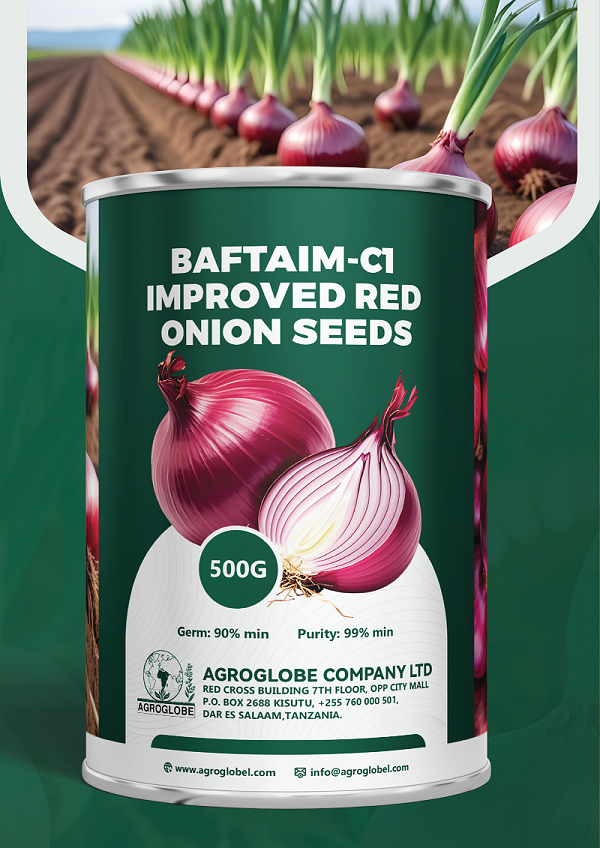 Onion Seeds